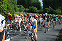BenJPhoto-DSC_0239