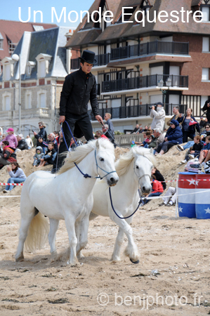 BenJPhoto-DSC_2330