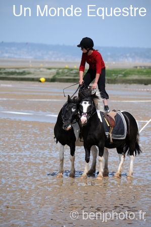 BenJPhoto-DSC_2437