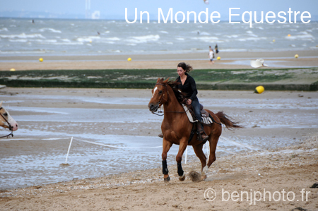 BenJPhoto-DSC_2515