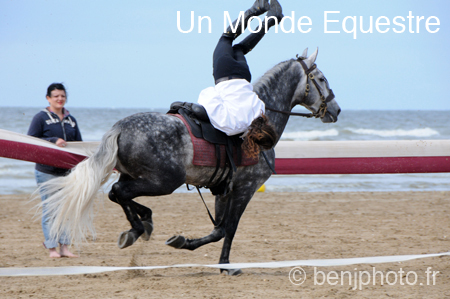 BenJPhoto-DSC_2557