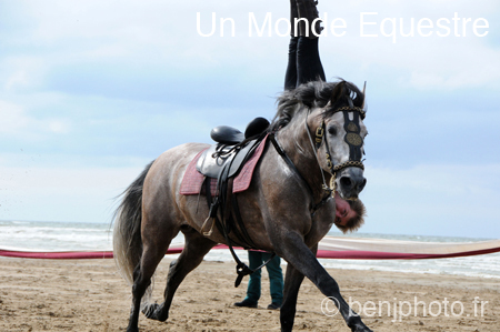 BenJPhoto-DSC_2593