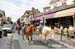BenJPhoto-DSC_2301