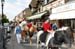 BenJPhoto-DSC_2307
