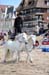 BenJPhoto-DSC_2330