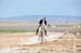 BenJPhoto-DSC_2332