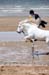 BenJPhoto-DSC_2363