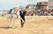 BenJPhoto-DSC_2393