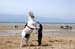 BenJPhoto-DSC_2415
