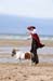 BenJPhoto-DSC_2488
