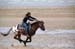 BenJPhoto-DSC_2509