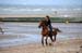BenJPhoto-DSC_2515