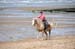 BenJPhoto-DSC_2518