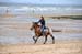 BenJPhoto-DSC_2524