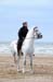 BenJPhoto-DSC_2559