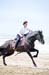 BenJPhoto-DSC_2563