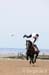 BenJPhoto-DSC_2576