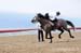 BenJPhoto-DSC_2580
