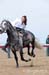BenJPhoto-DSC_2581