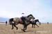 BenJPhoto-DSC_2584