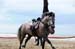 BenJPhoto-DSC_2593