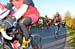 BenJPhoto-FLN2012-0181