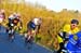 BenJPhoto-FLN2012-0184