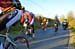 BenJPhoto-FLN2012-0185