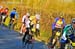 BenJPhoto-FLN2012-0213