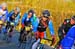 BenJPhoto-FLN2012-0224