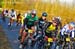 BenJPhoto-FLN2012-0248