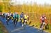 BenJPhoto-FLN2012-0323