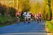 BenJPhoto-FLN2012-0433