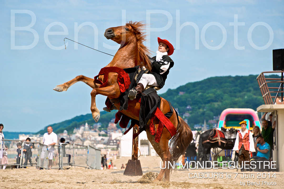 BenJPhoto-DSC_6683