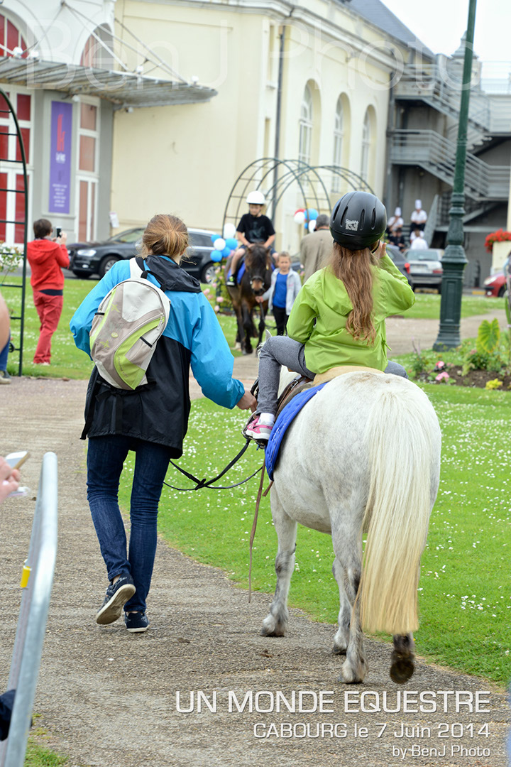BenJPhoto-DSC_6451
