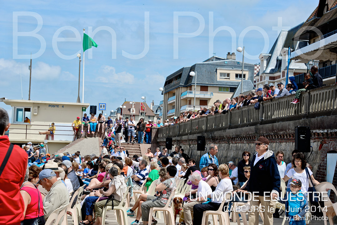 BenJPhoto-DSC_6477