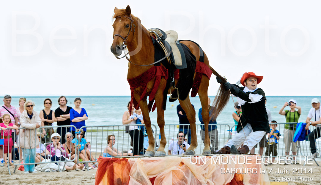 BenJPhoto-DSC_6752