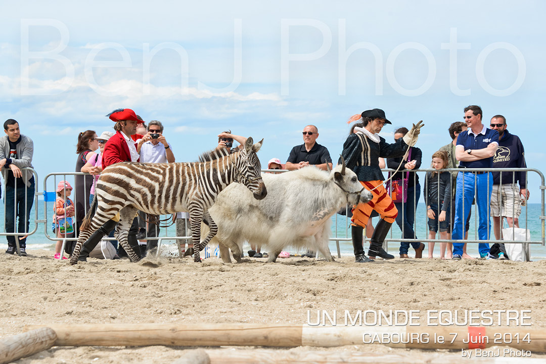 BenJPhoto-DSC_6500