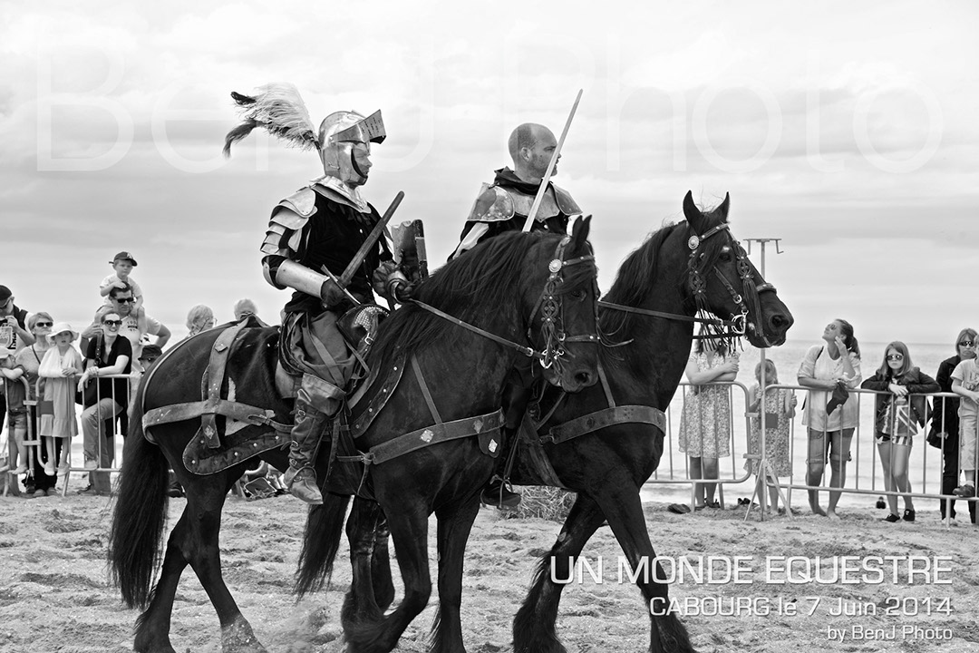 BenJPhoto-DSC_6611