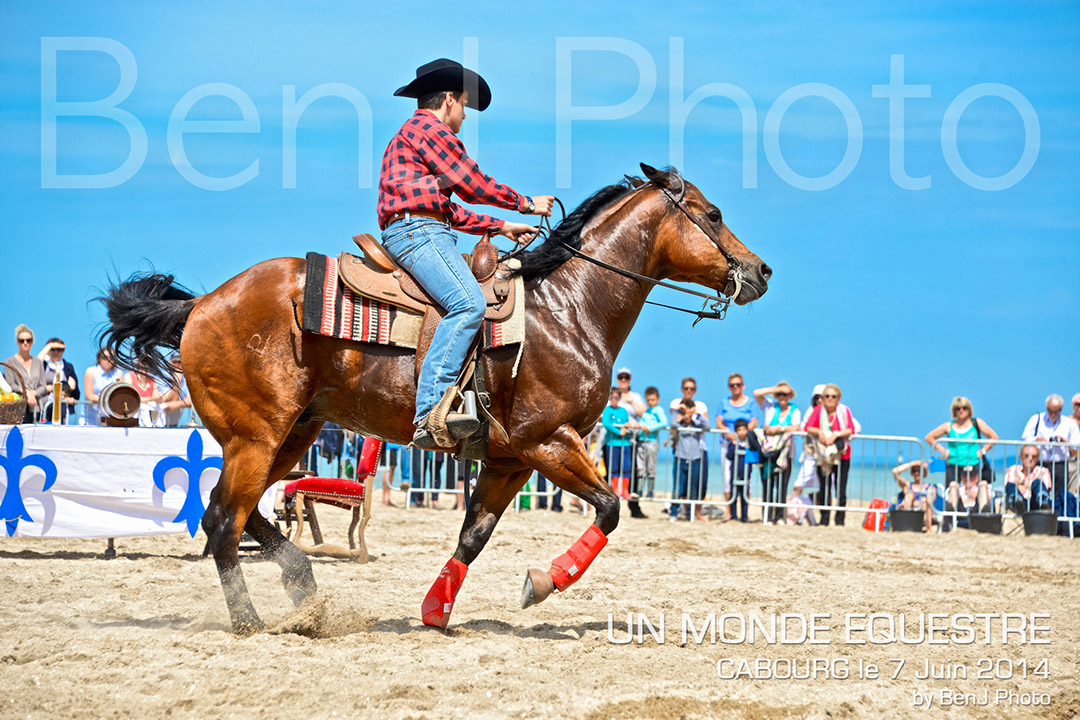 BenJPhoto-DSC_6562