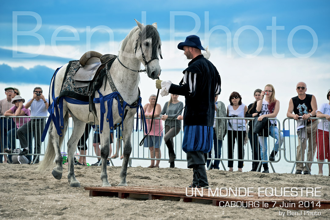 BenJPhoto-DSC_6634