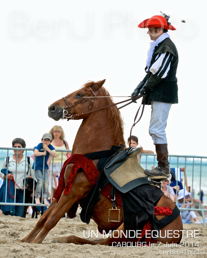 BenJPhoto-DSC_6741
