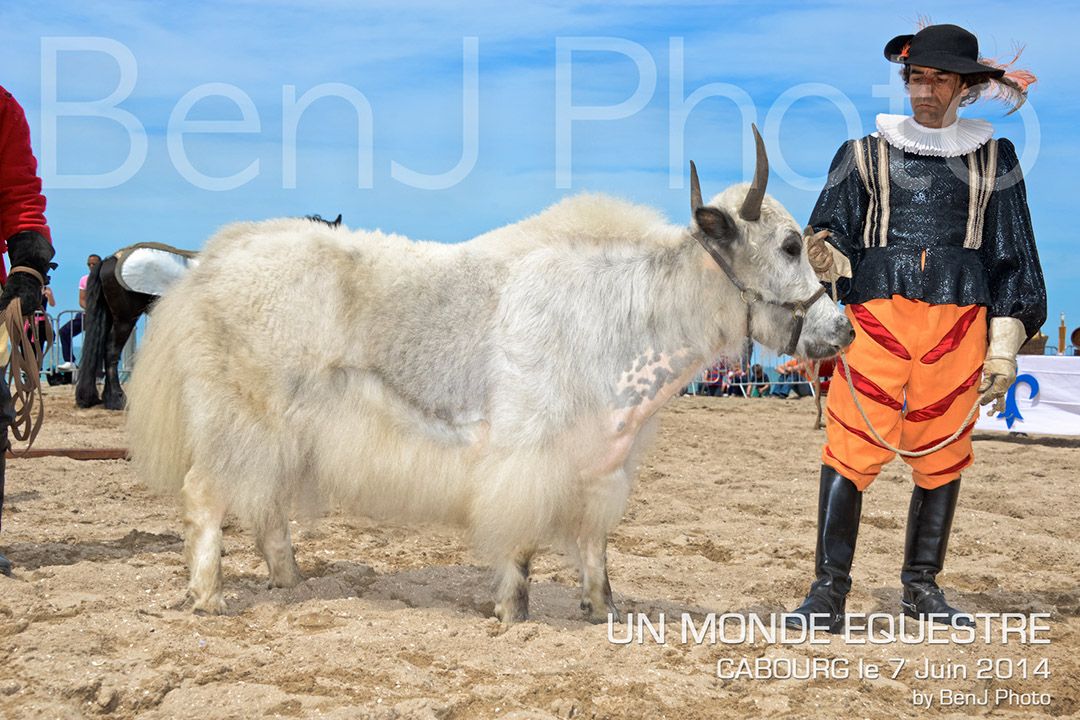 BenJPhoto-DSC_6509
