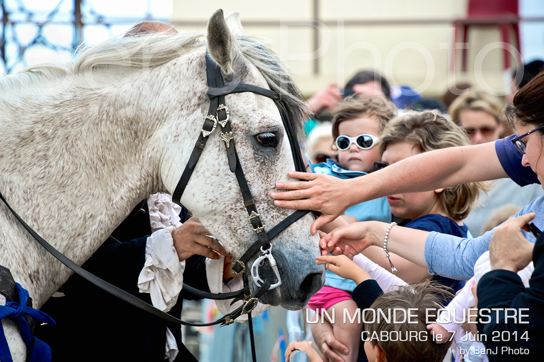 BenJPhoto-DSC_6811