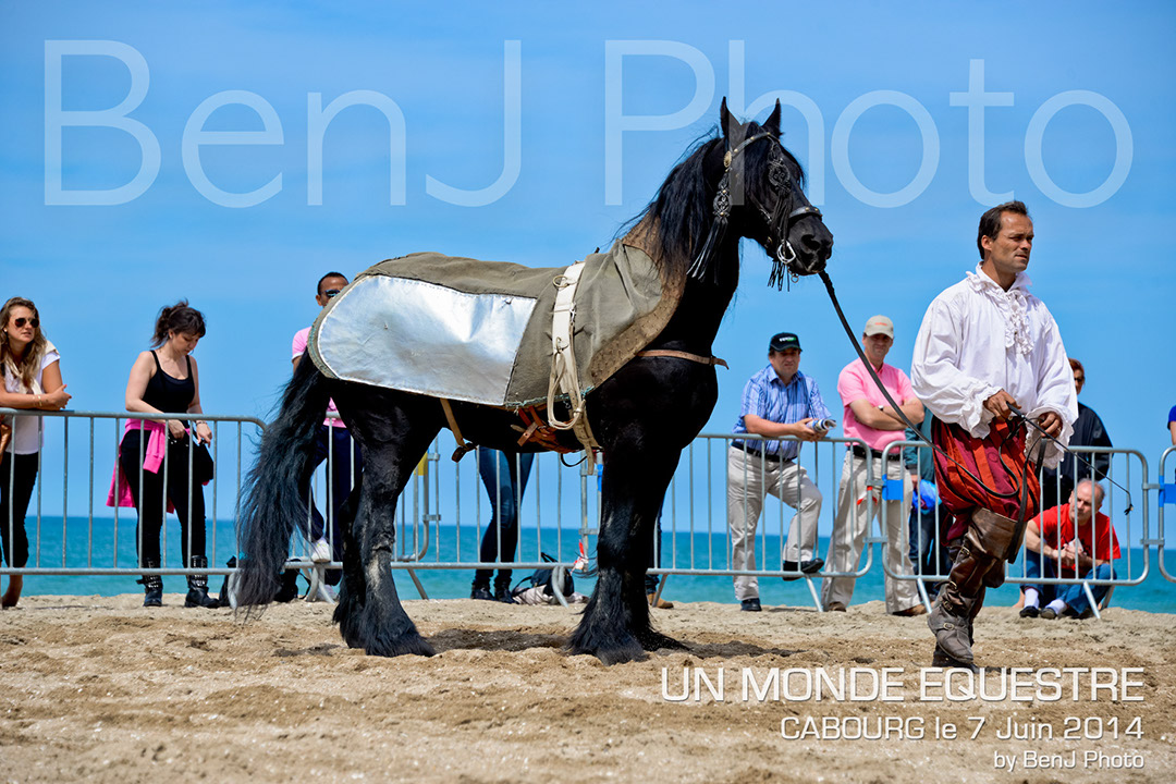 BenJPhoto-DSC_6494