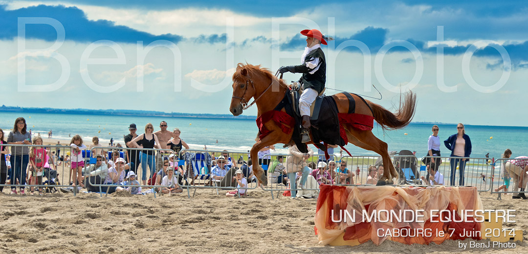 BenJPhoto-DSC_6665