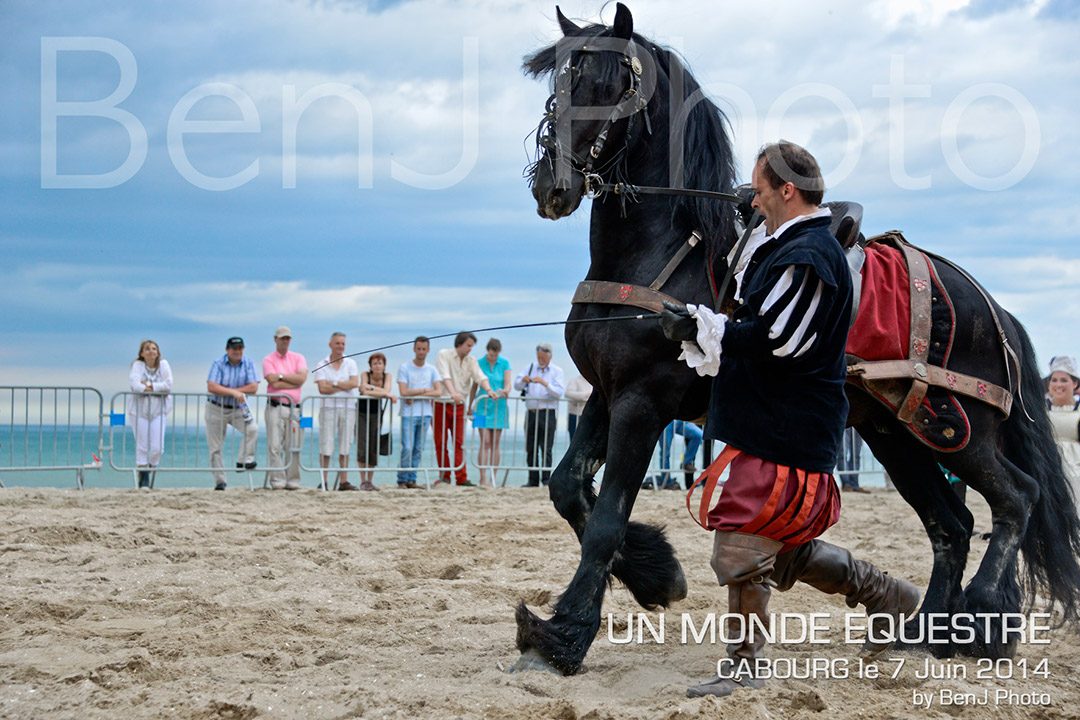 BenJPhoto-DSC_6763