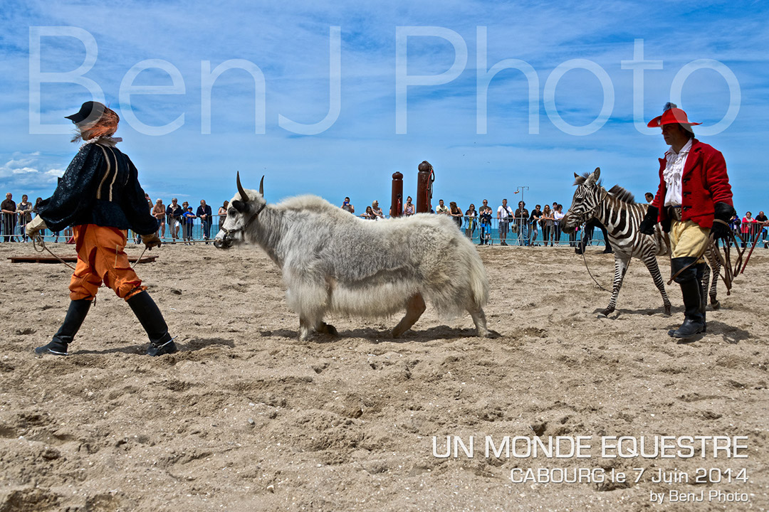BenJPhoto-DSC_6498