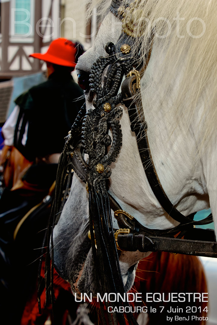 BenJPhoto-DSC_6409