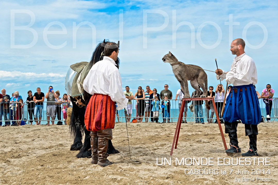 BenJPhoto-DSC_6528
